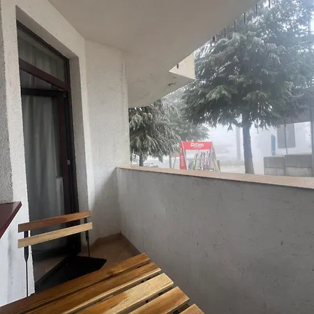 Elite Flora בורובץ